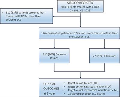 Treatment of coronary lesions with a novel crystalline sirolimus-coated balloon